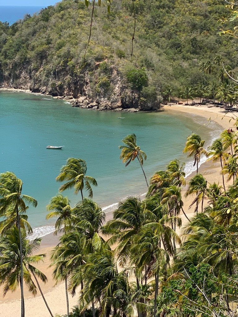 Un recorrido por Venezuela con realidad virtual: la iniciativa del cineasta Noa Iimura