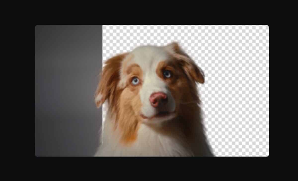 Cómo funciona CapCut, la aplicación de video que usa IA para convertir textos en imágenes 