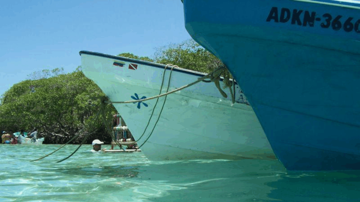 Morrocoy, entre la viralidad y la fragilidad: los arrecifes sufren por el auge turístico