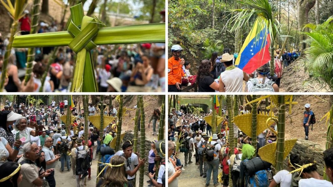 Palmeros de Chacao descendieron del Ávila para el Domingo de Ramos
