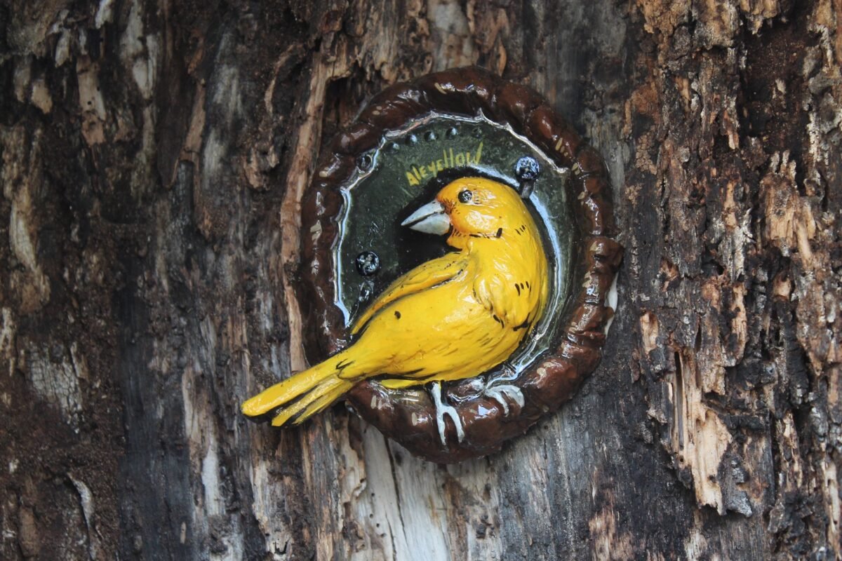 Alejandra Cedeño y su misión de sanar con arte las cicatrices de la ciudad