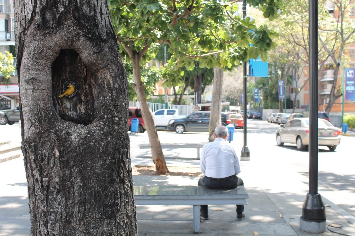 Alejandra Cedeño y su misión de sanar con arte las cicatrices de la ciudad