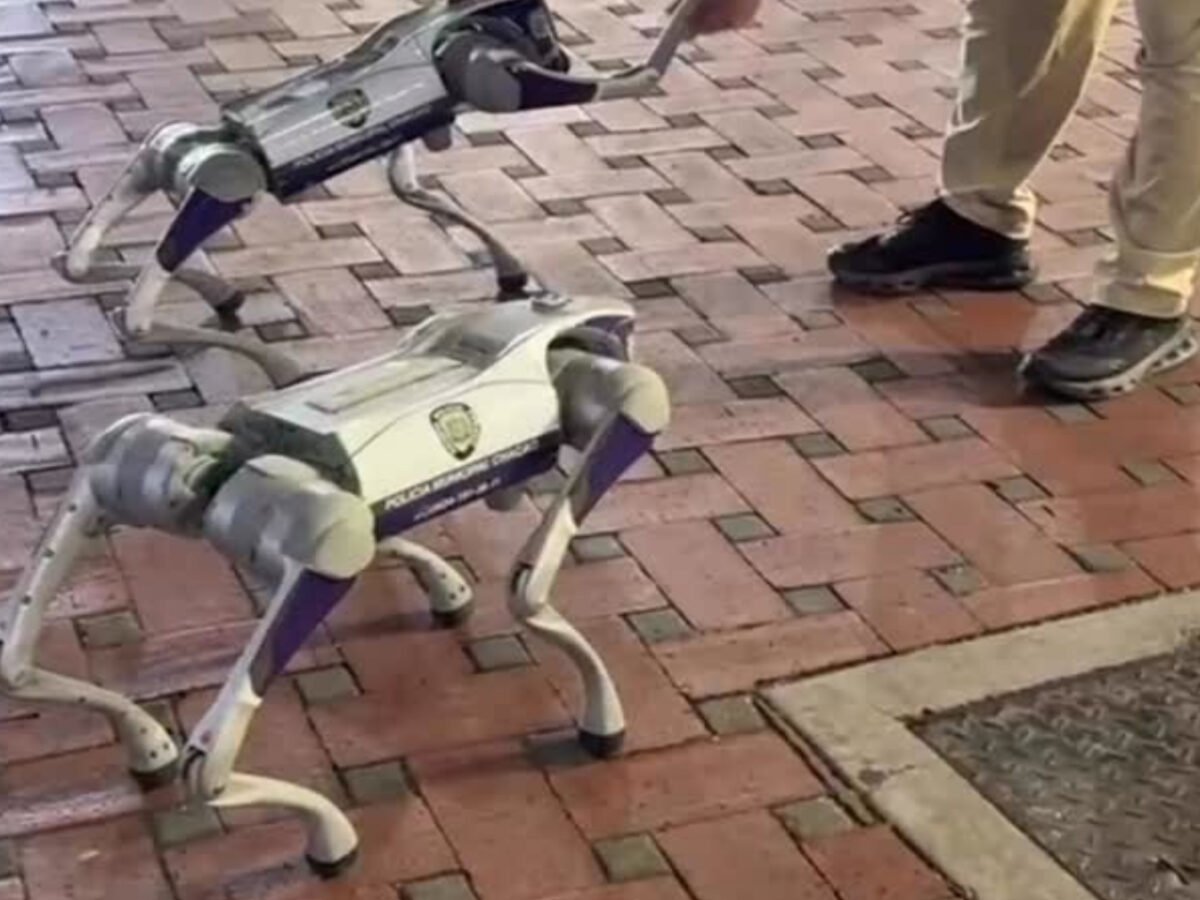 Alcaldía de Chacao desplegará perros robots para monitorear el municipio