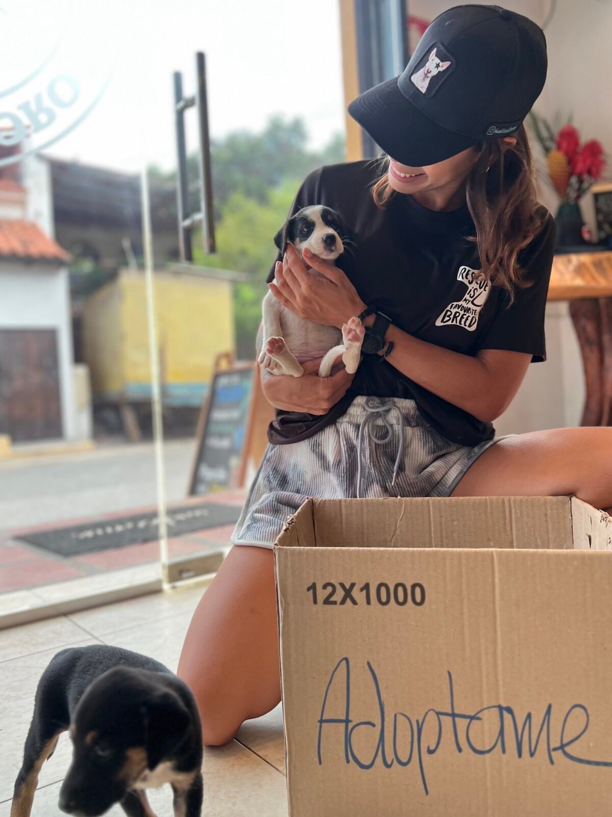 “Perri guías”: el proyecto que transforma el turismo y la vida de los perros en Choroní