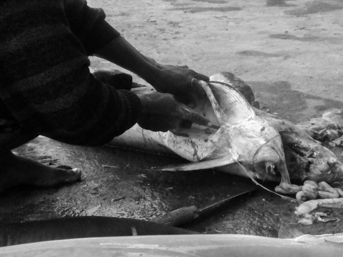 Venezuela a través del lente: fotógrafos que retratan lo cotidiano y reconstruyen identidad