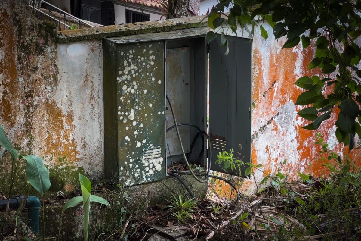 Una USB desolada y en deterioro exige elecciones para frenar su decadencia