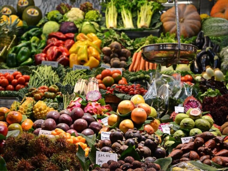 ¿En qué consiste el plan alimenticio que la FAO propone para Venezuela?