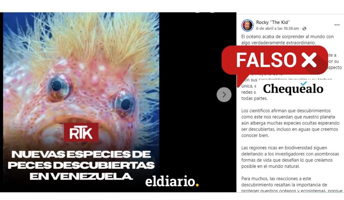 ¿Descubrieron una nueva especie de pez en Venezuela?