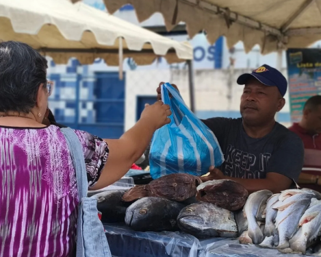 Grupo de científicos pide a la población venezolana reducir el consumo de cazón