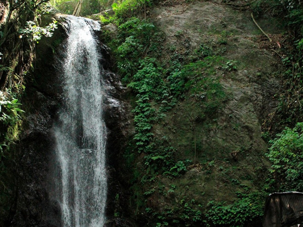 ¿Qué hacer en Caracas durante las dos primeras semanas de abril?
