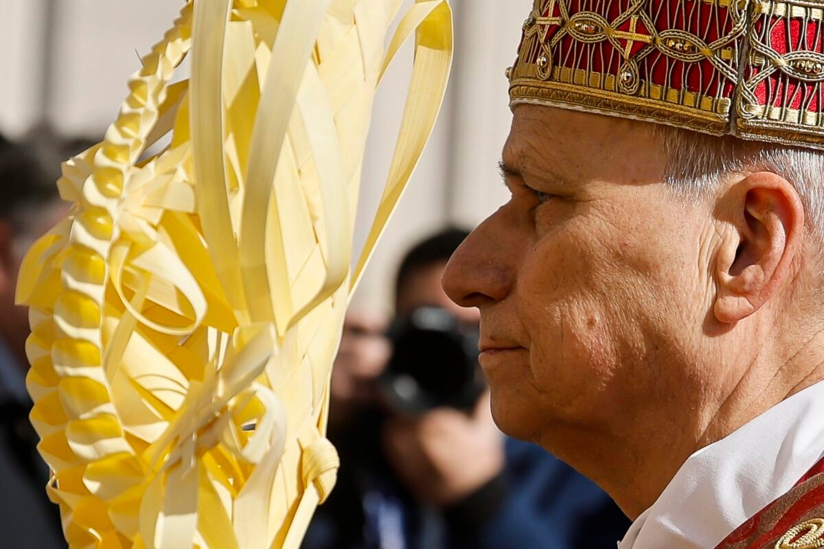 “Depongan las armas”: el llamado que hizo el papa León XIV en el Domingo de Ramos