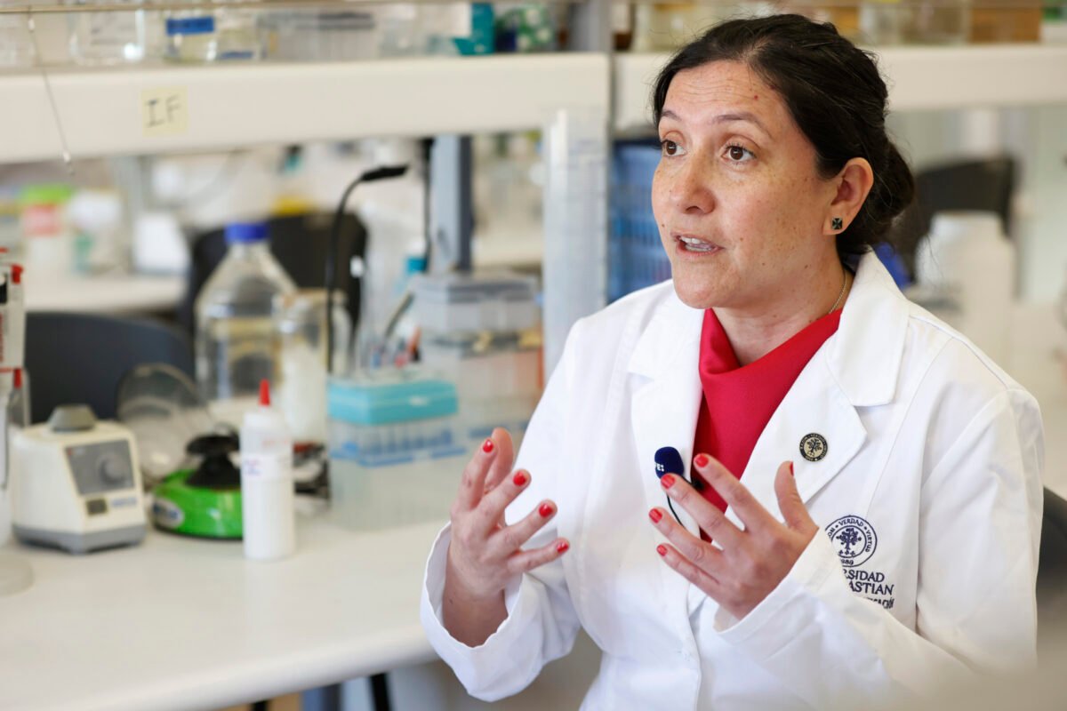 La prometedora vacuna chilena contra el hantavirus que busca financiamiento para su fase clínica