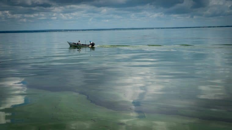 Derrames petroleros: una enfermedad crónica en las aguas de Venezuela