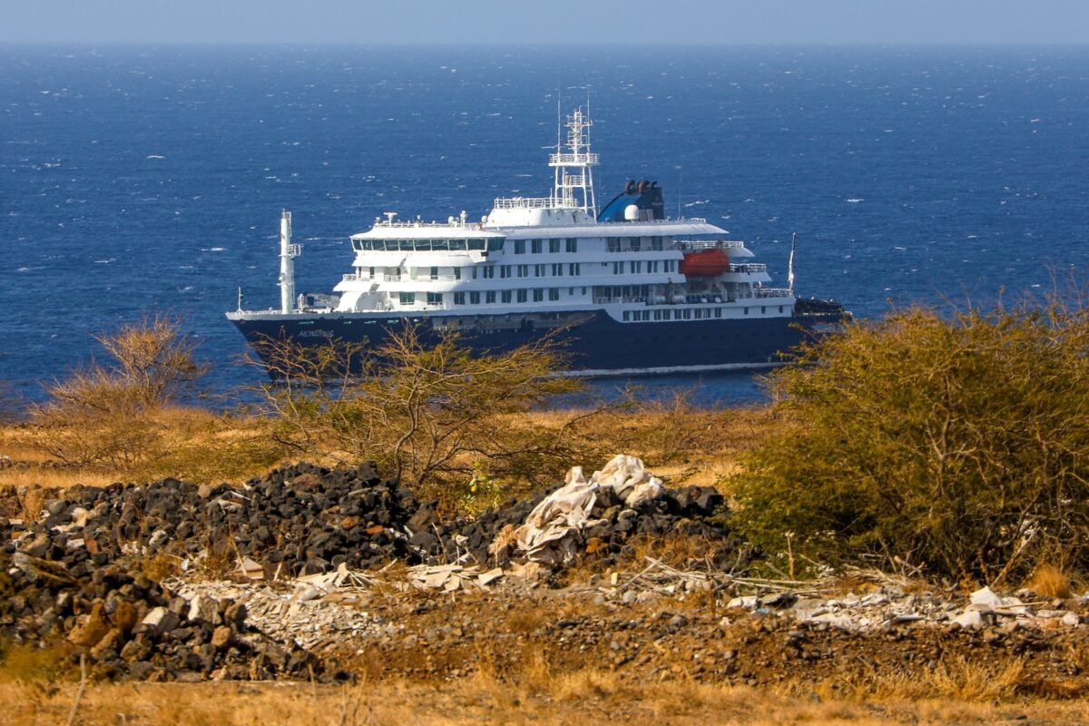 #TeExplicamos Lo que se sabe del brote de hantavirus en un crucero que zarpó de Argentina