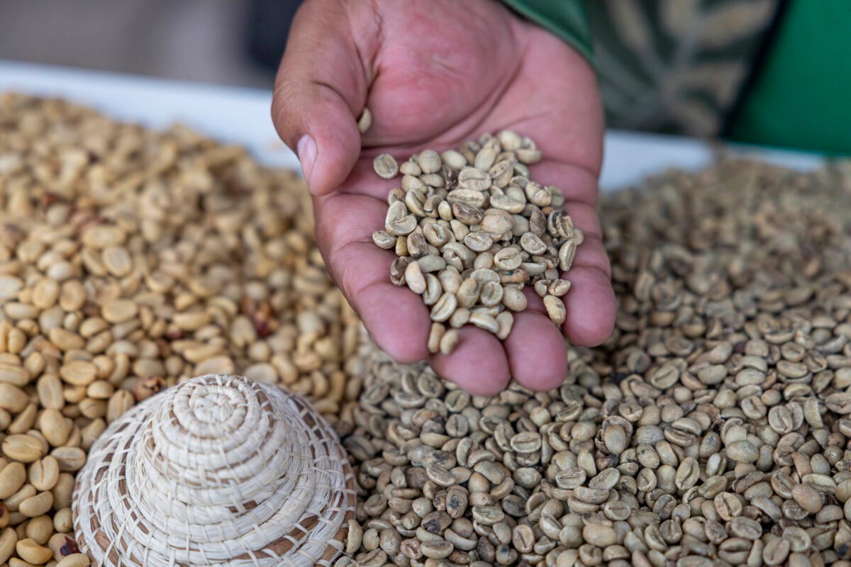 AN aprobó ley para impulsar la producción y exportación de café venezolano: ¿qué contempla la norma?